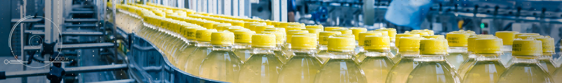 Beverage bottles on conveyor belt