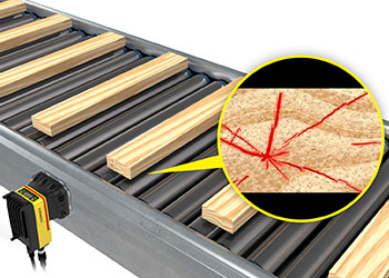 木材木板被检查在一个滚动的传送带上