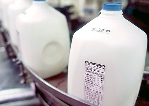 Factory gallon milk on conveyor