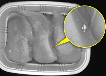 在容器中的鸡胸肉上发现缺陷