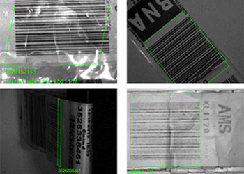 cognex software automatic bag tag reading examples