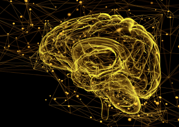 数据云背后的黄色脑轮廓