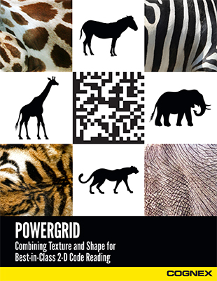 whitepaper_powergrid_en.